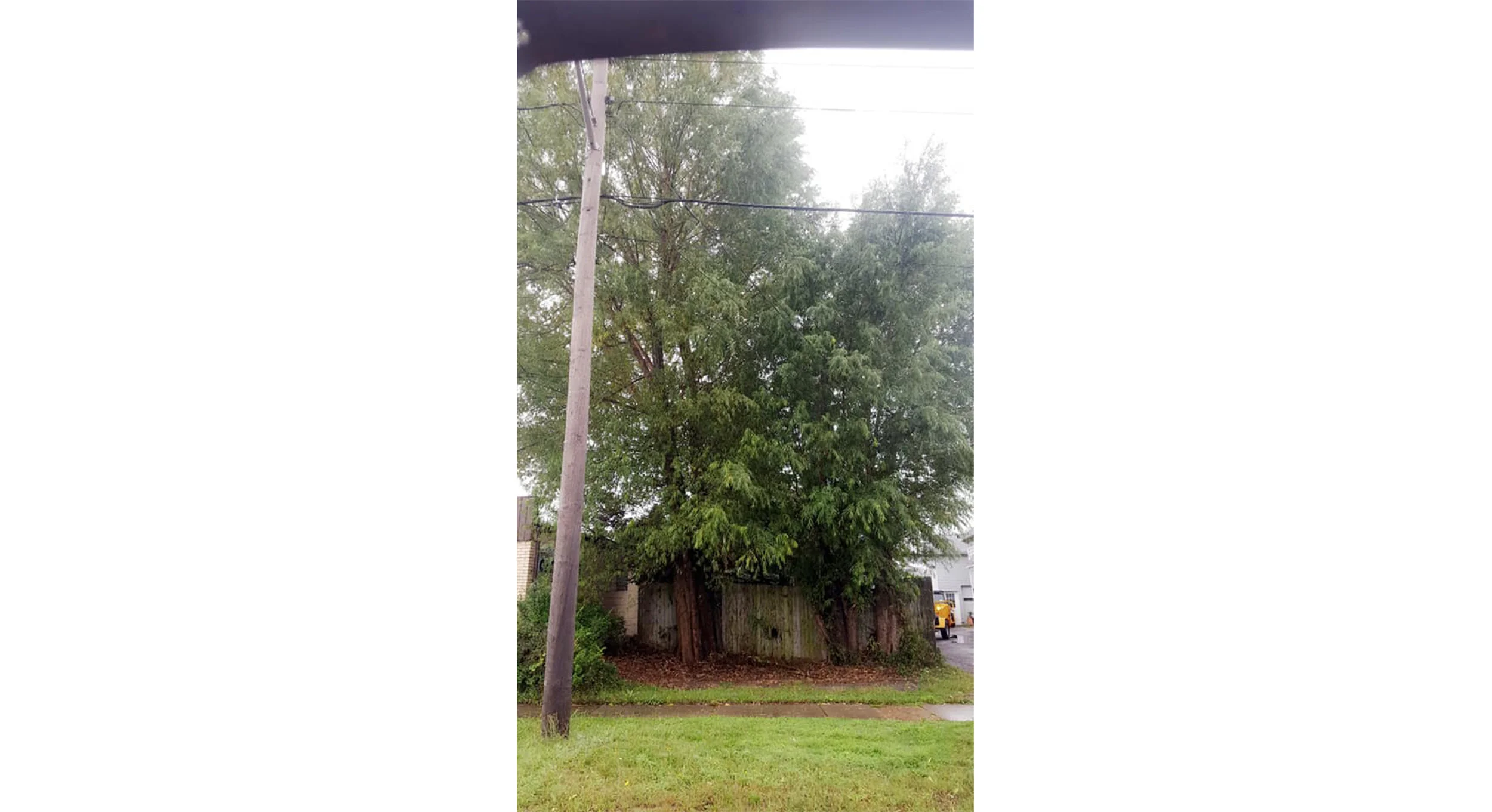 Tree Works Of WNY gallery 8