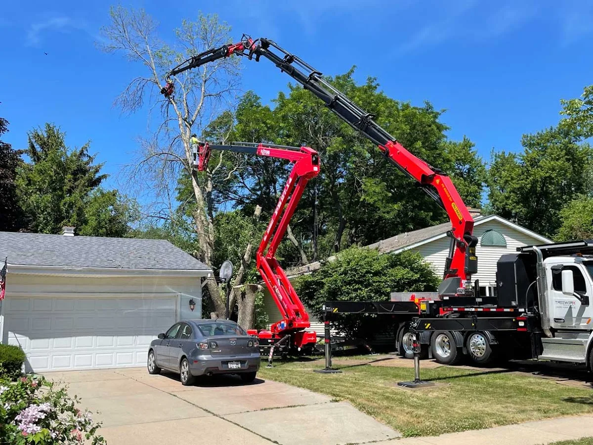 Treewerx work site