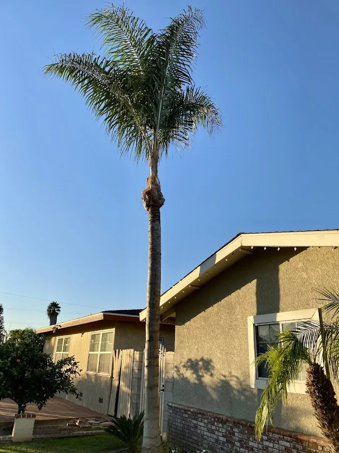Treewest Co