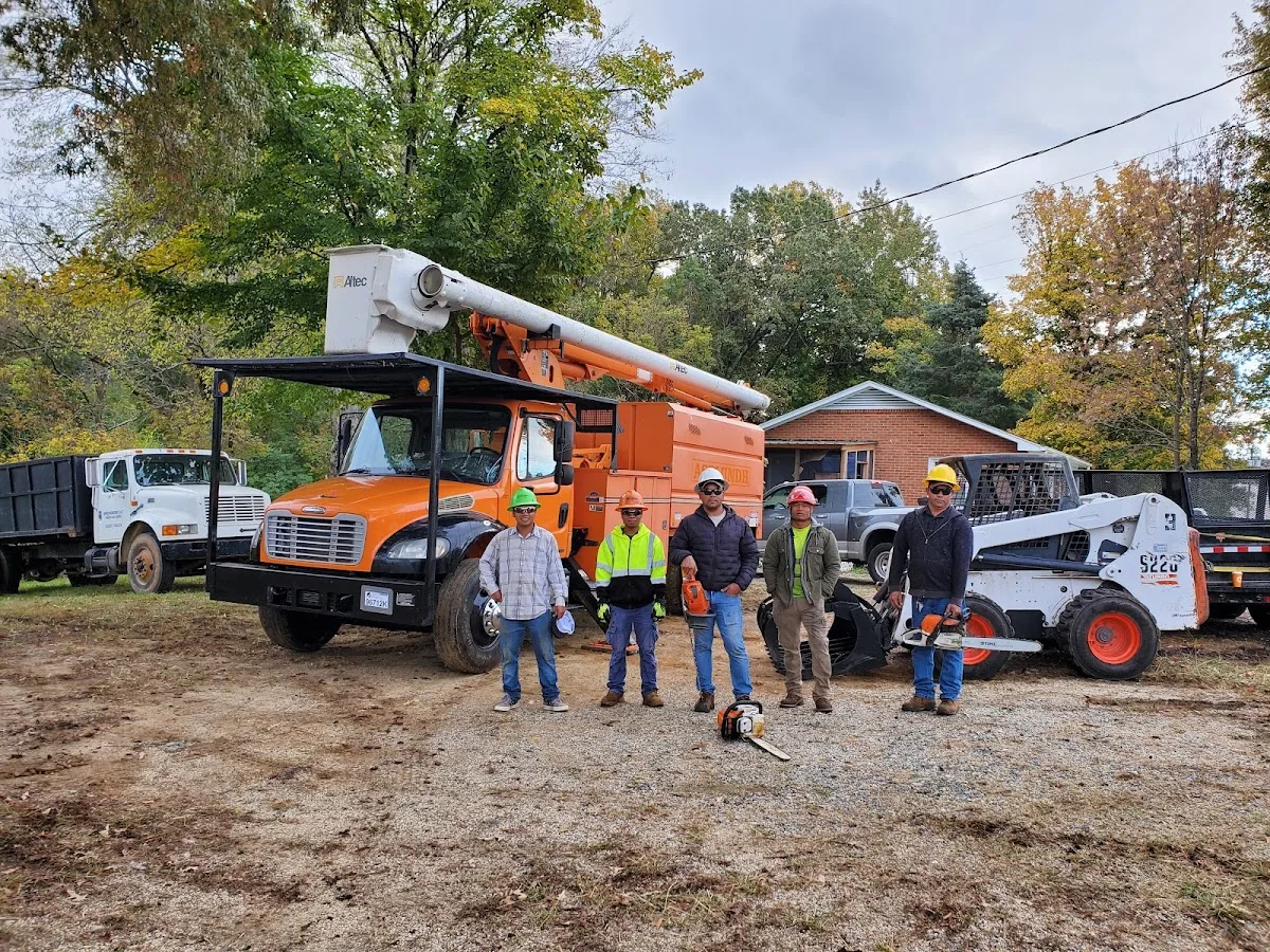 Triad Tree Removal