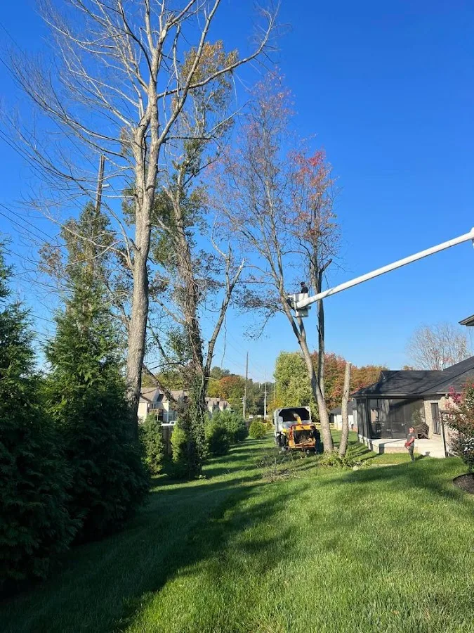 TRINITY TREE SERVICE DAYTON OH