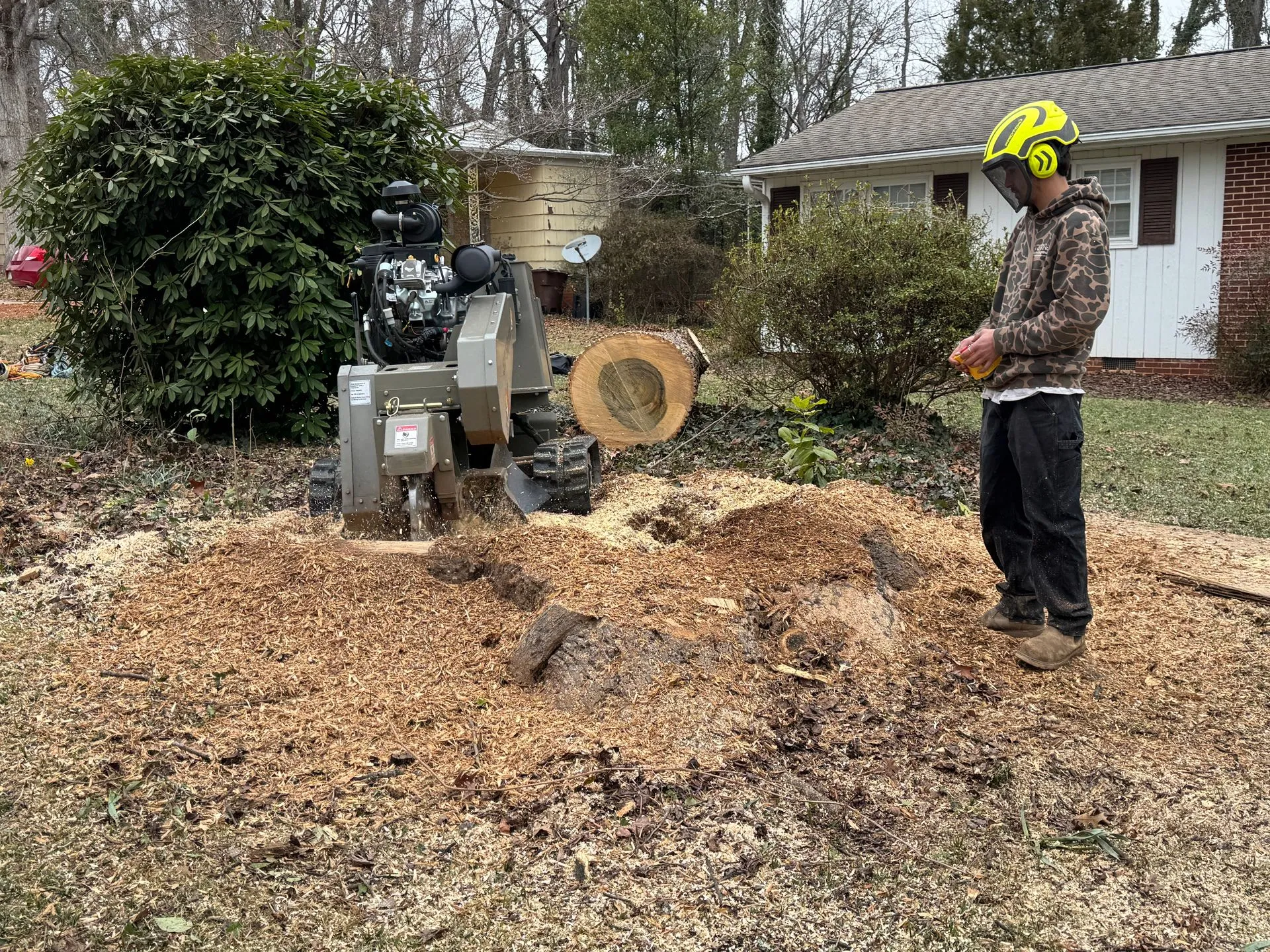 Triple A Tree Service LLC gallery 4