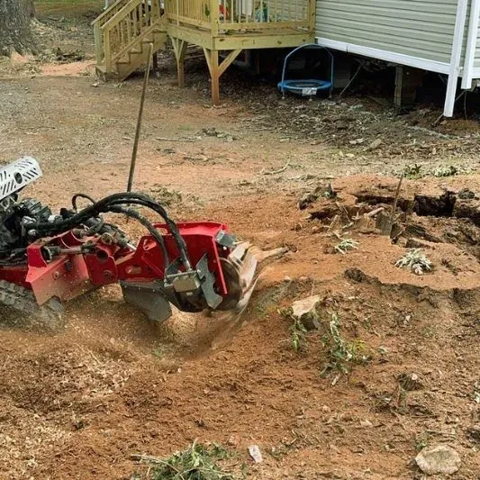 Triple A Tree Service LLC gallery 8