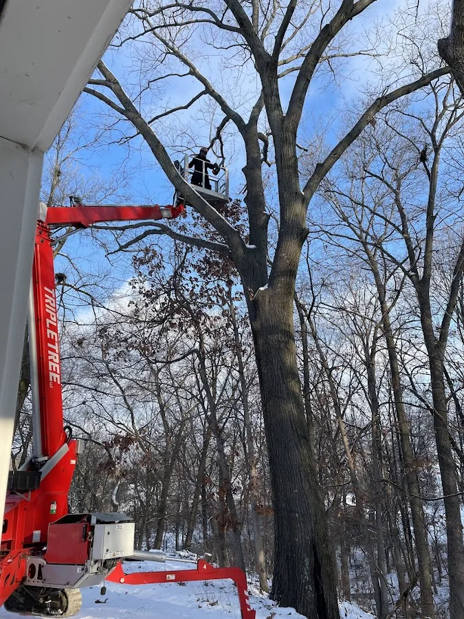 Triple Tree Care LLC