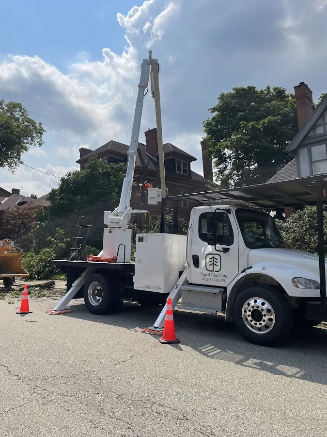 Tripoli Tree Care