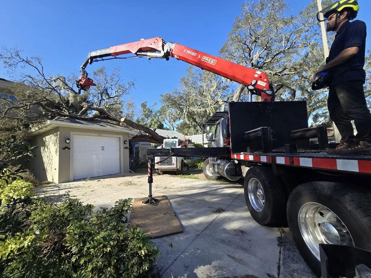 Trout Brook Arborists (West Hartford, CT): How to Match the Quote to the Tree Work You Actually Need