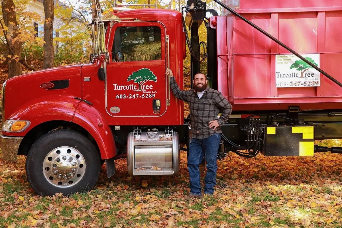 Turcotte Tree Service in Londonderry: Turn Southern NH Tree Work Into a Clear Scope