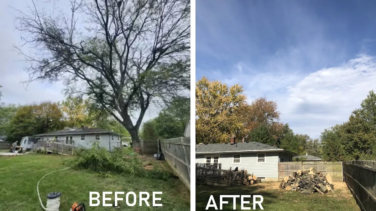 U-Tree LLC work site