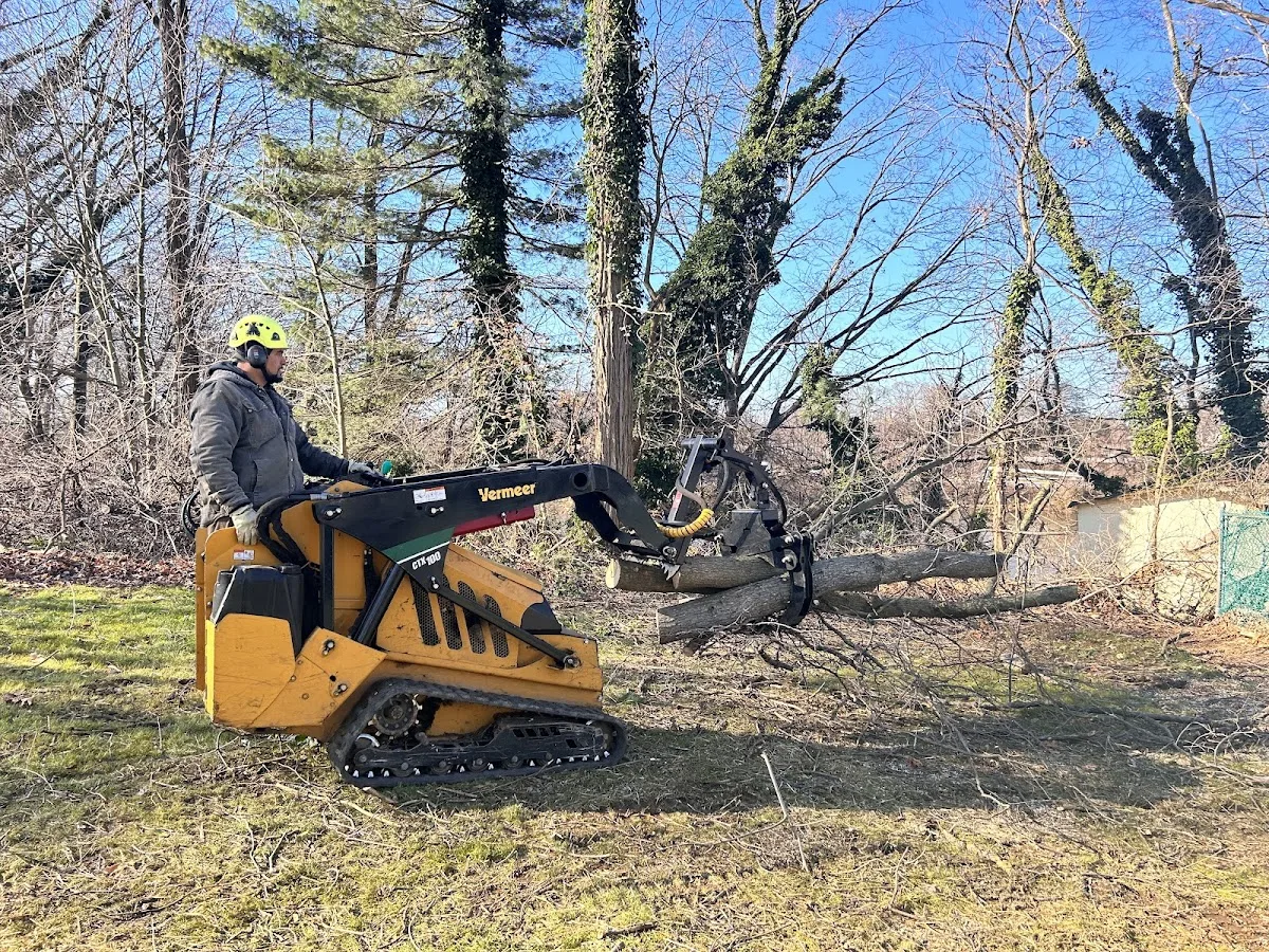 United 1 Tree Services & Landscaping