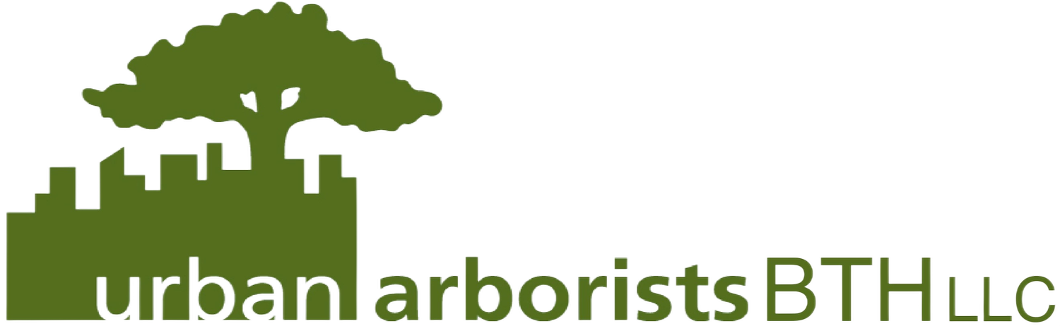 Urban Arborists BTH LLC gallery 3