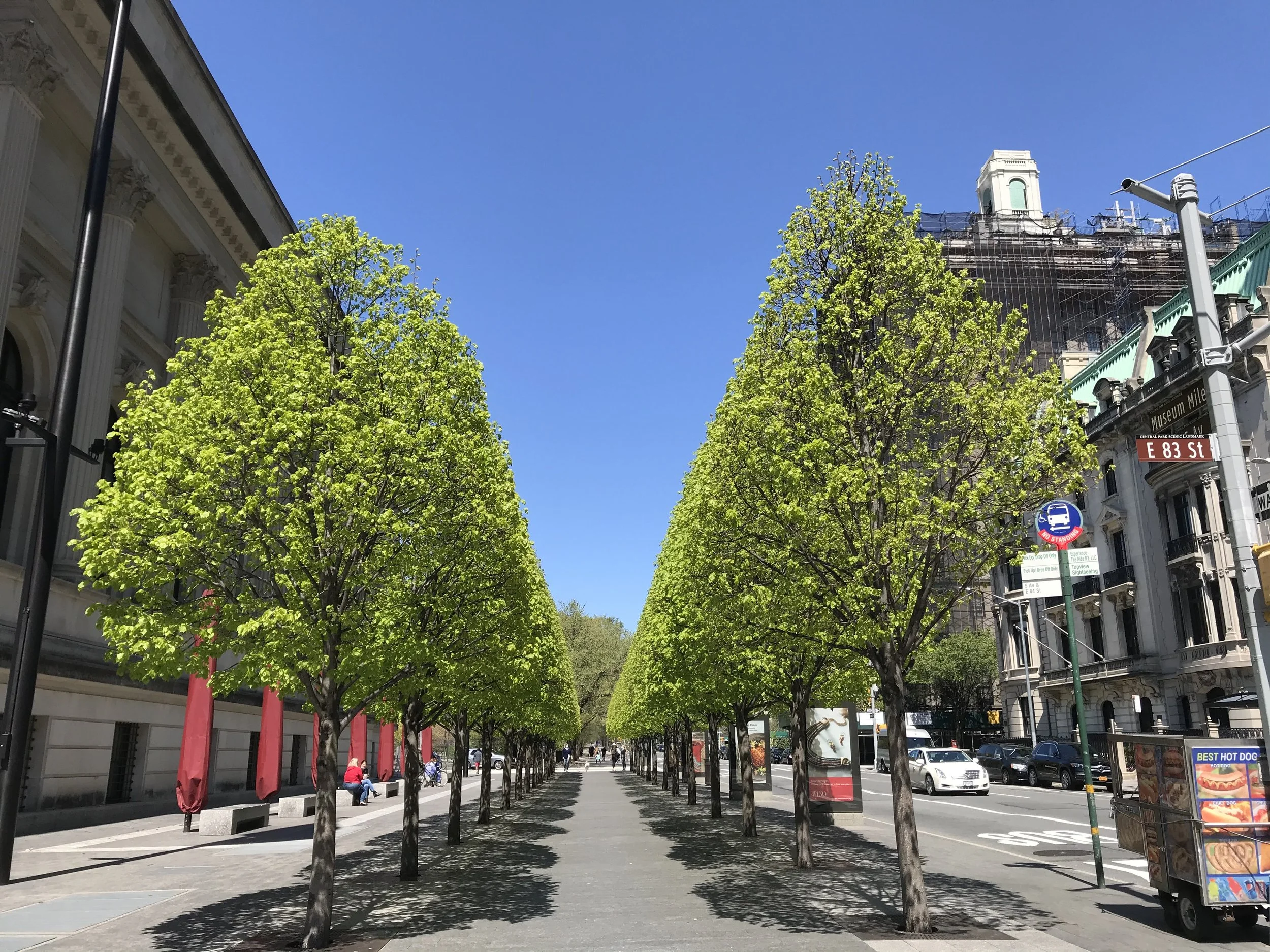 Urban Arborists BTH LLC gallery 5