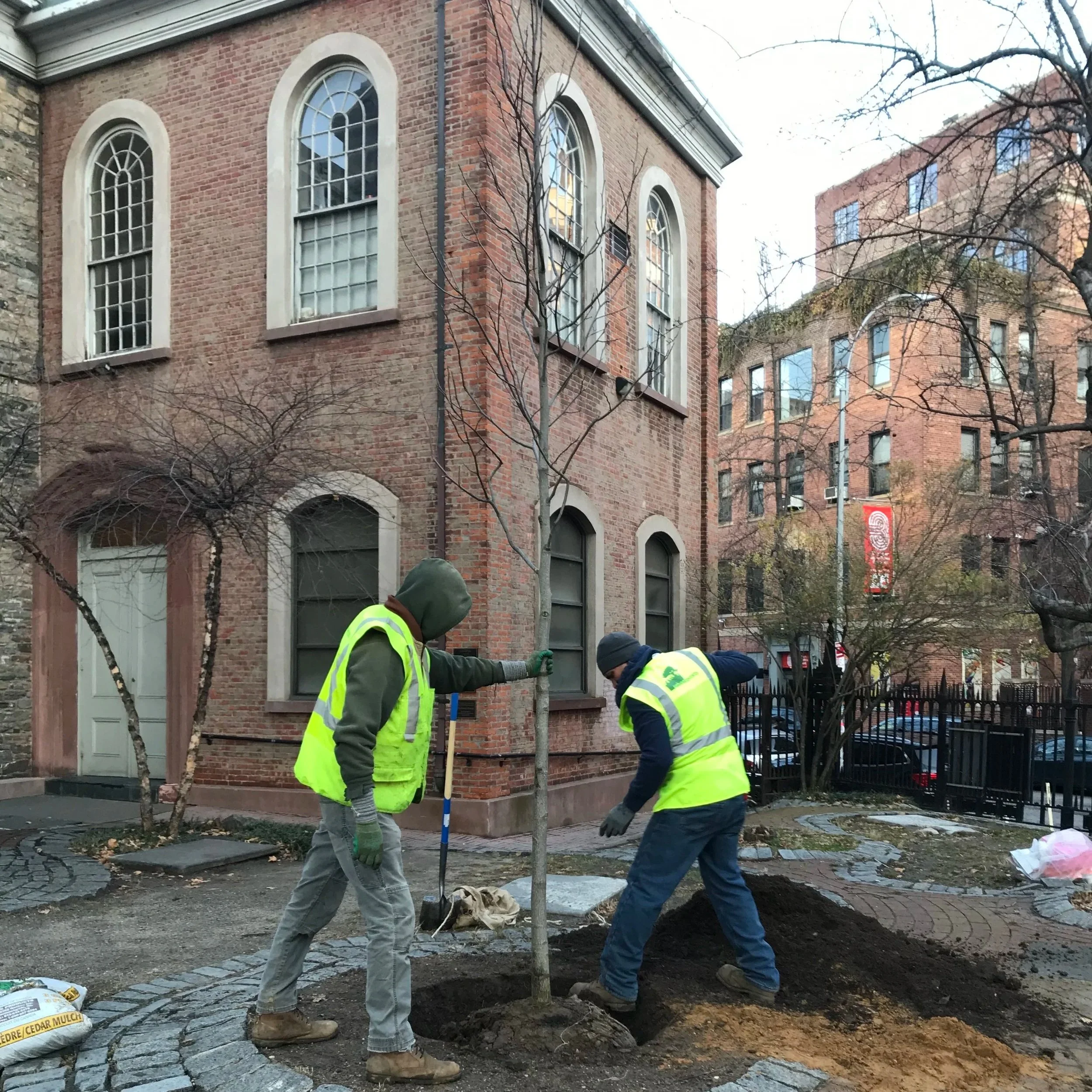 Urban Arborists BTH LLC gallery 6