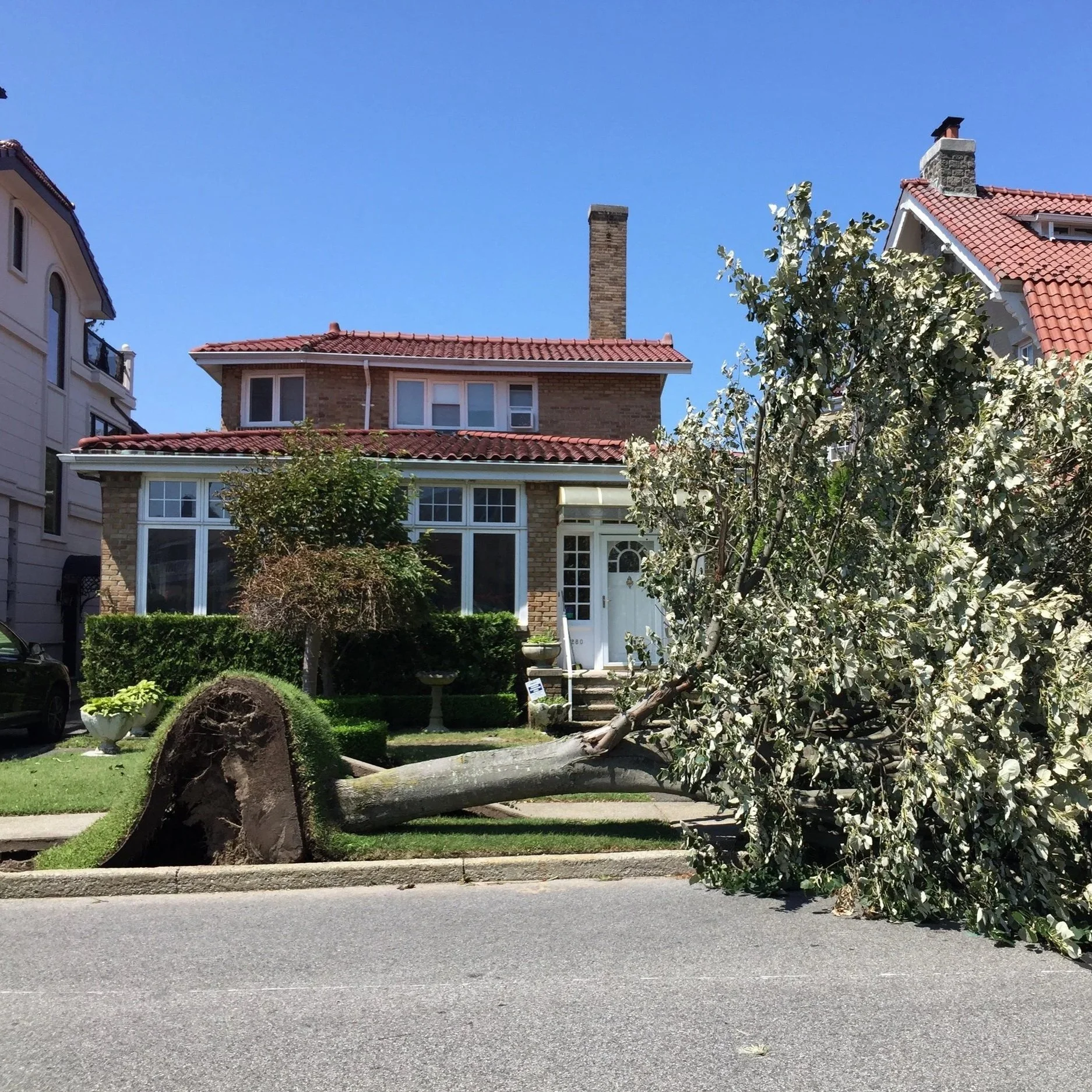 Urban Arborists BTH LLC gallery 8