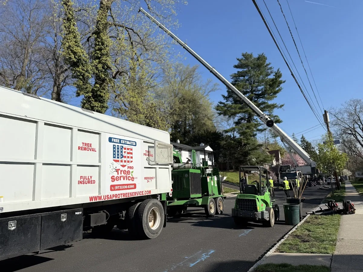 USA Pro Tree Service LLC work site