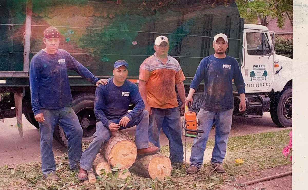 Valle's Tree Services LLC