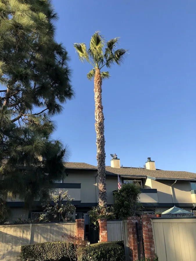 Vargas Tree Services Inc