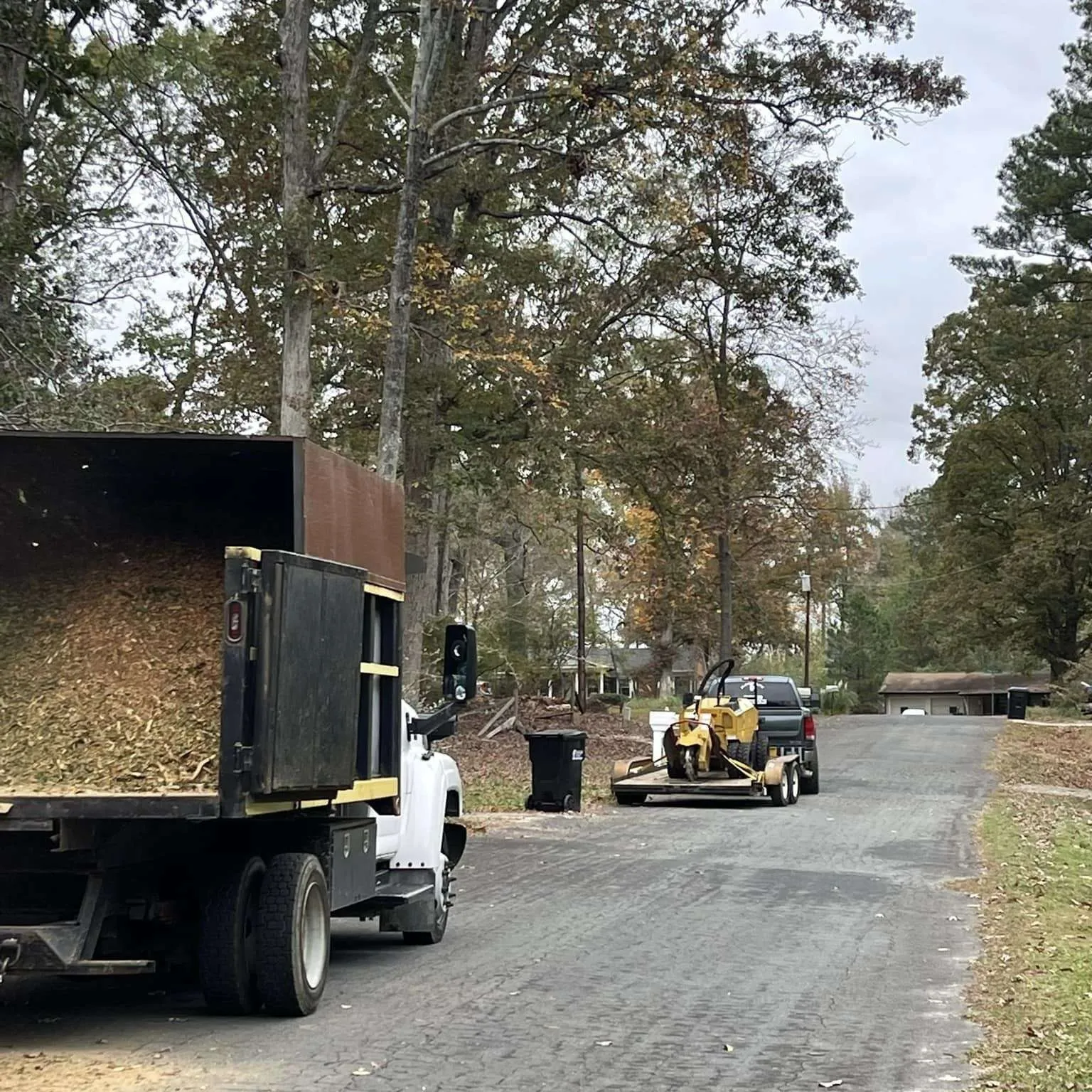 Vasquez Tree Service NC gallery 3