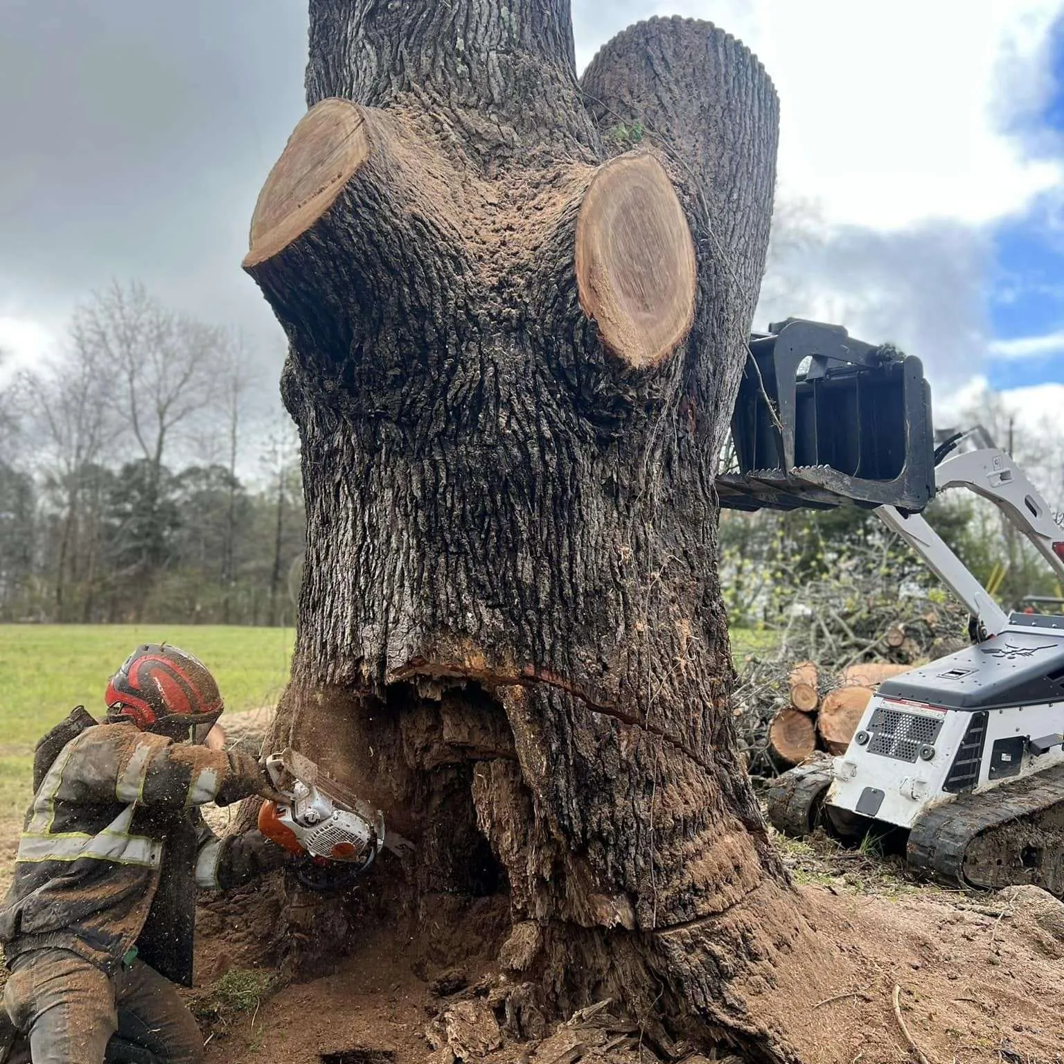 Vasquez Tree Service NC gallery 4