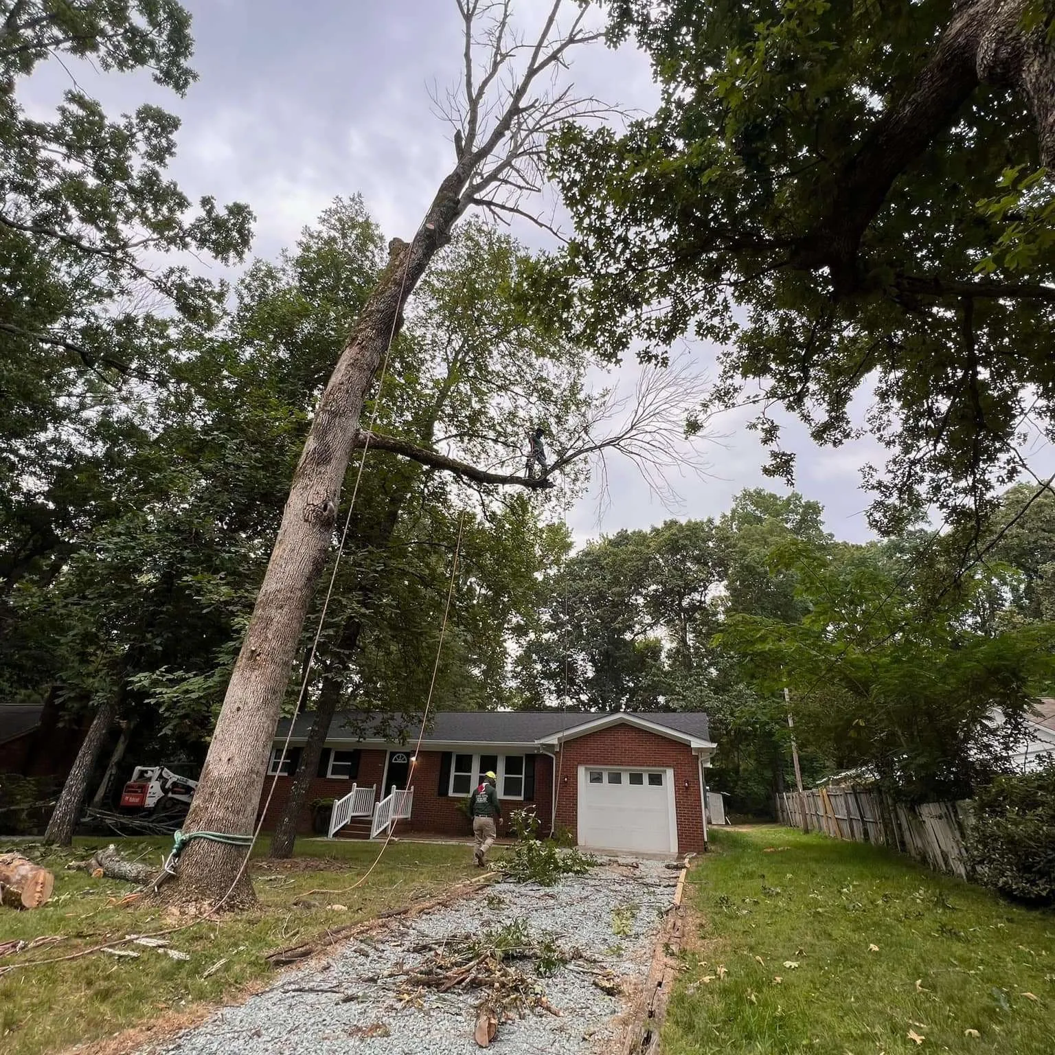 Vasquez Tree Service NC gallery 5