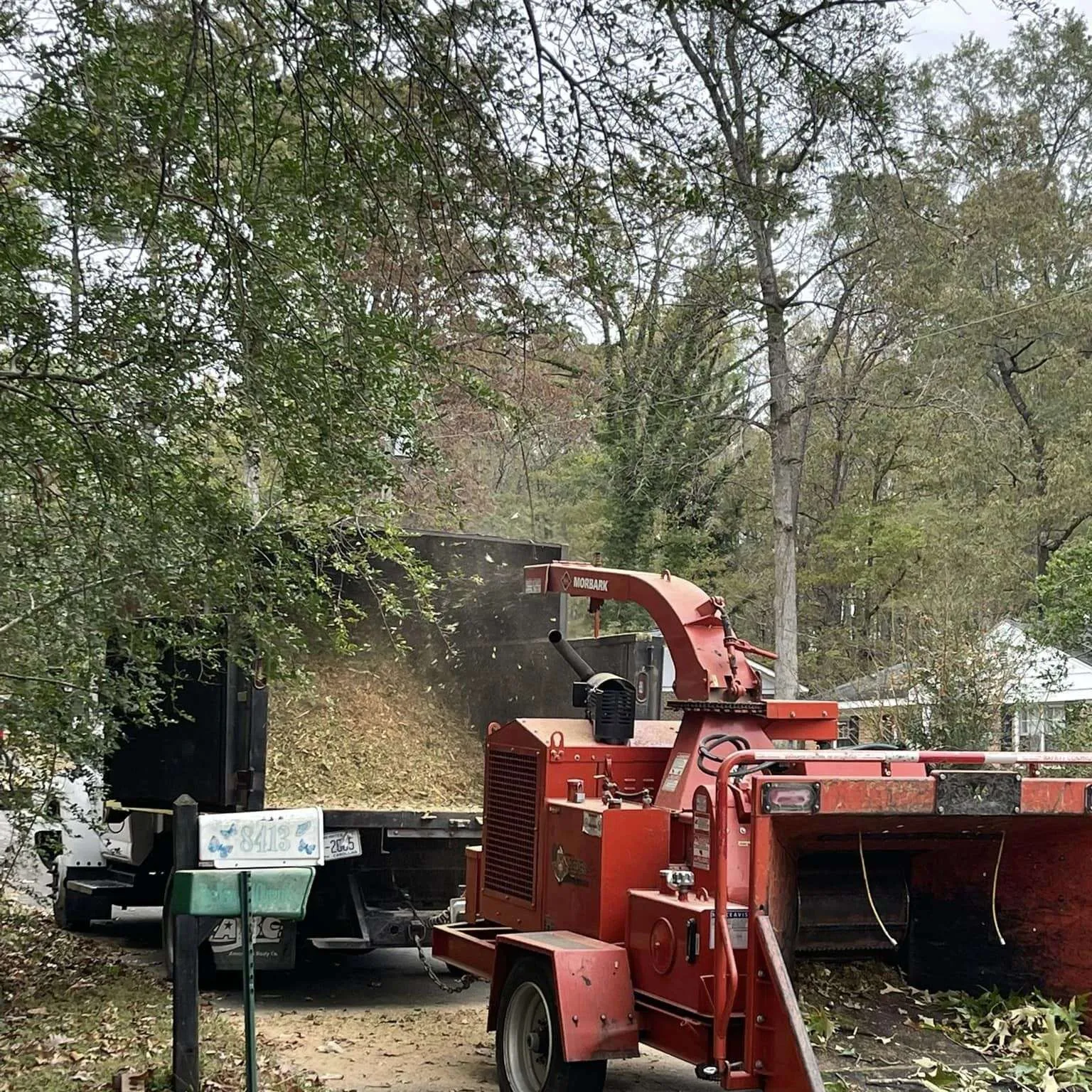 Vasquez Tree Service NC gallery 7