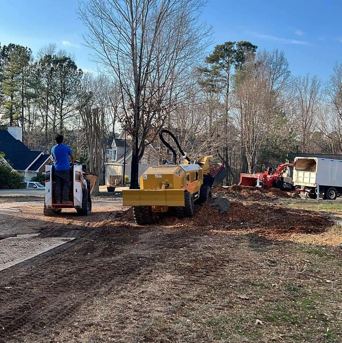 Vasquez Tree Service NC gallery 8