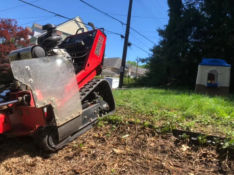 Vislosky Stump Grinding