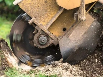 VPG Stump Grinding work site
