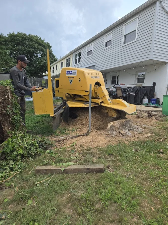 W&G USA TREE EXPERTS LLC
