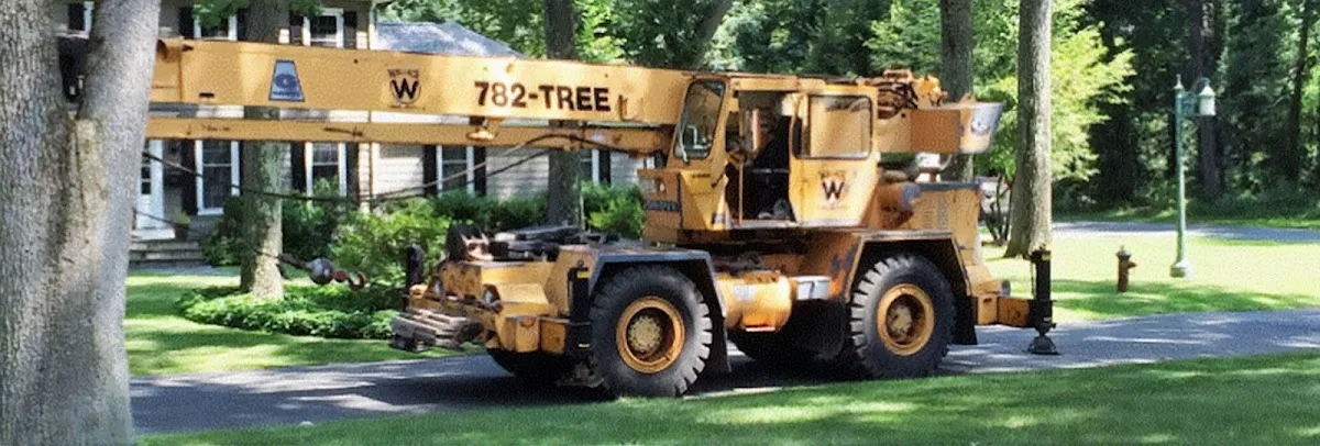 Wallace Tree Service