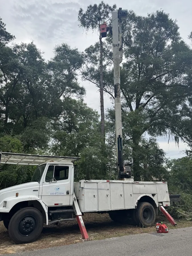 Waters Tree Service, LLC work site