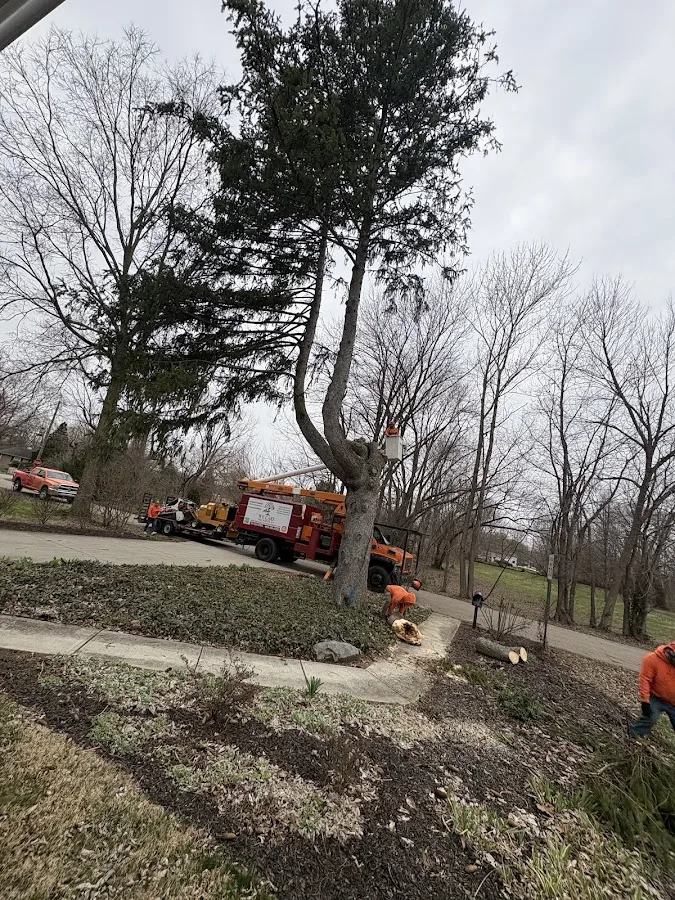 We Care Tree Service