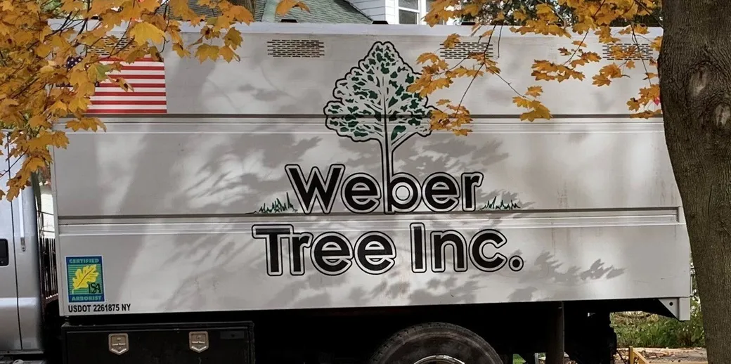 Weber Tree INC gallery 3