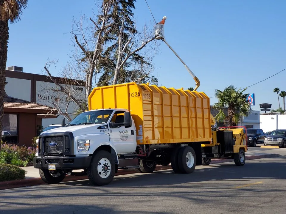 West Coast Arborists, Inc