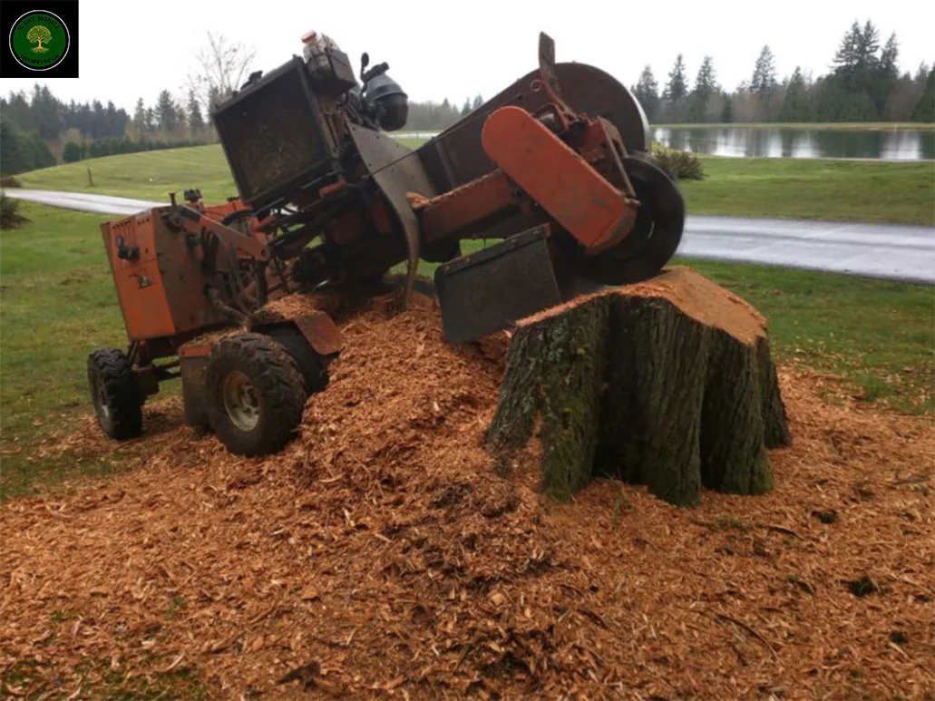West Mobile Tree Service LLC.