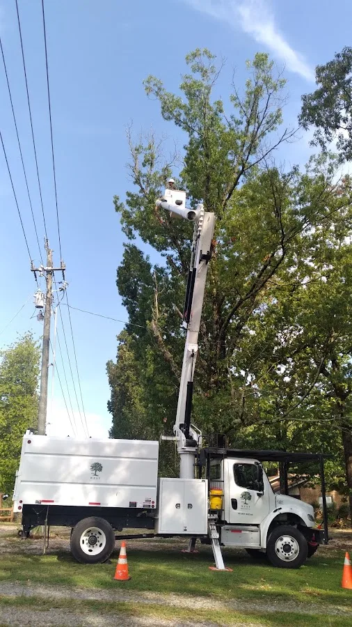 West Tree Service