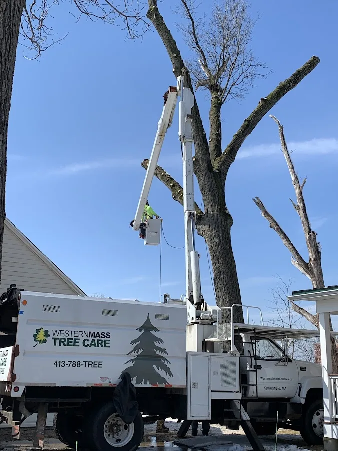 Western Mass Tree Care