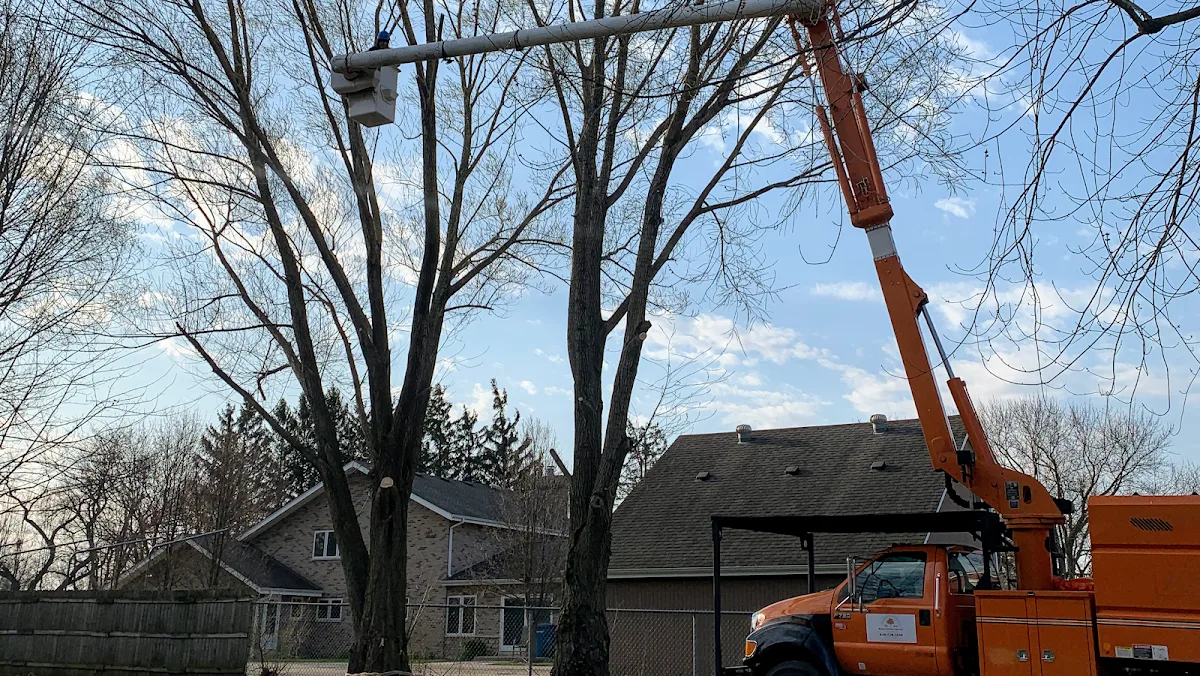White Oak Tree Care Inc.