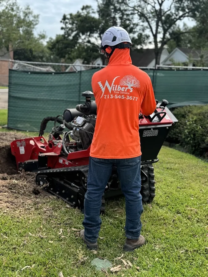 Wilber's Tree Service