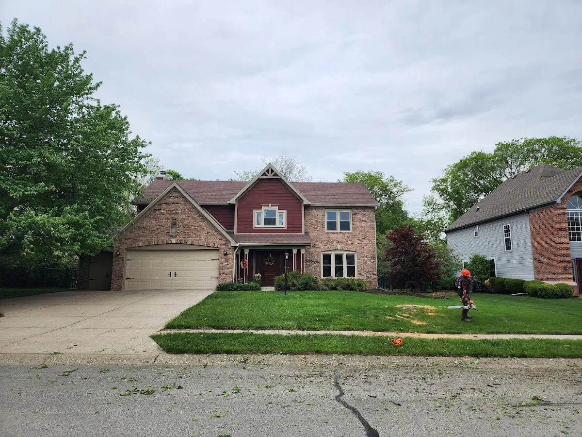 Williams Tree Service LLC gallery 2