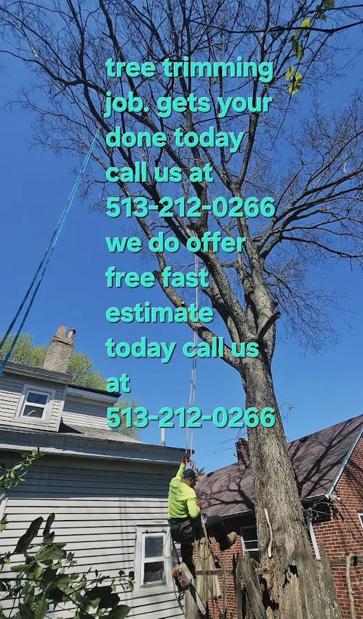 Wilson tree service