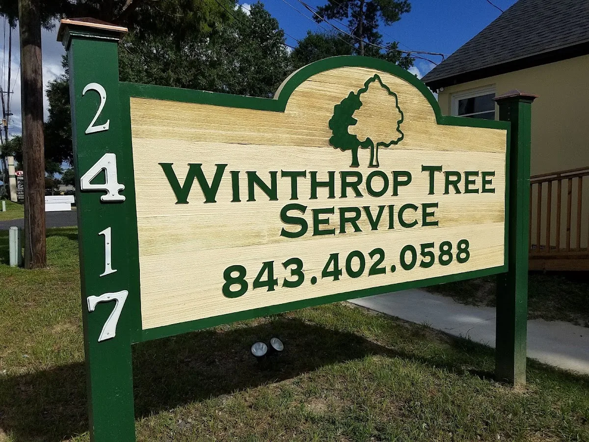 Winthrop Tree Service gallery 2