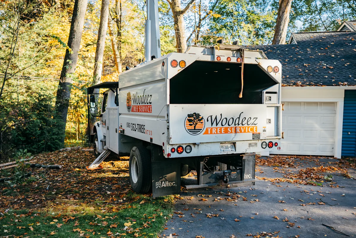 Woodeez Tree Service gallery 2