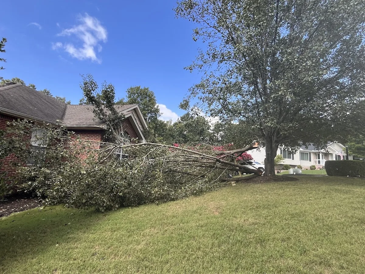 Wysong Tree Service
